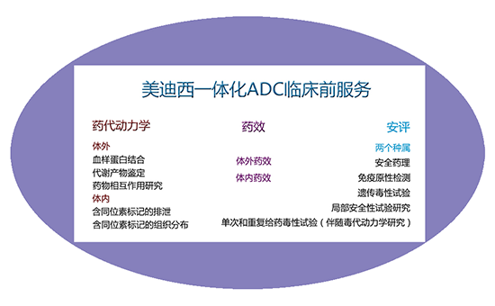 xcsports一体化ADC临床前服务