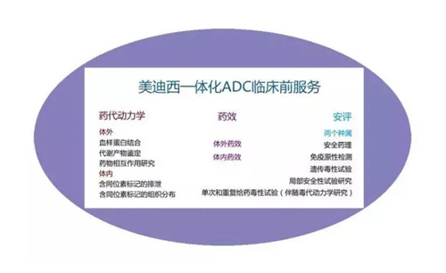 xcsports一体化ADC临床前服务