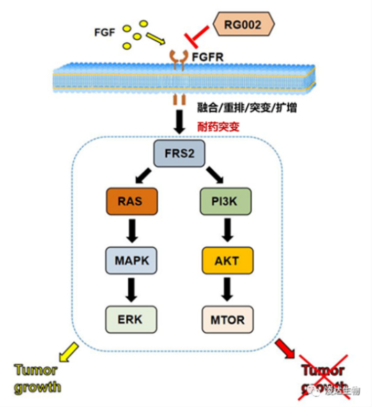 凌达生物RG002.jpg 凌达生物RG002.jpg