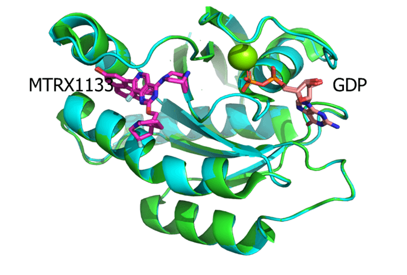 KRAS-G12D-RTX1133-共结晶与MRTX1133(7RPZ,PDB)的结构比较.png KRAS-G12D-RTX1133-共结晶与MRTX1133(7RPZ,PDB)的结构比较.png