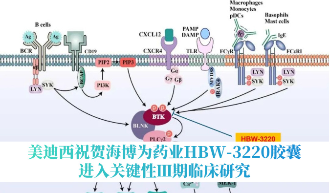 破解耐药性难题，xcsports祝贺海博为药业HBW-3220胶囊进入关键性Ⅲ期临床研究