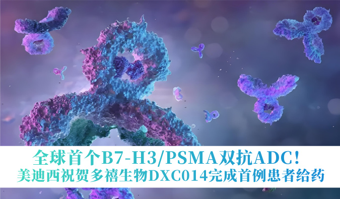全球首个B7-H3/PSMA双抗ADC！xcsports祝贺多禧生物DXC014完成首例患者给药
